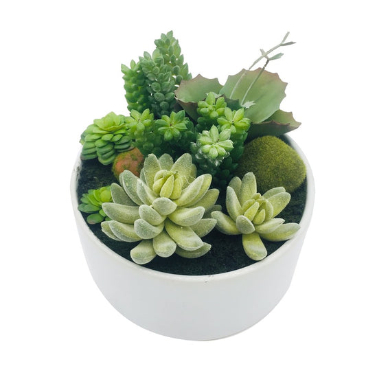 Decorative White Succulent Planter